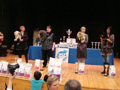 20121021_330 (Expo)